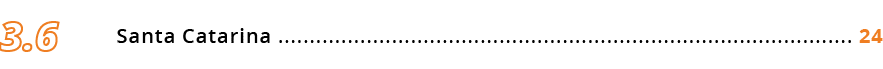 Santa Catarina ........................................................................................... 24,3.