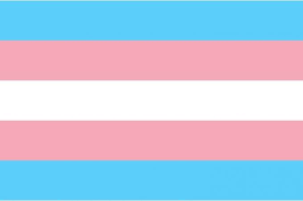 Bandeira da Transexualidade