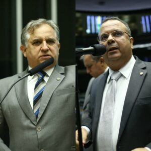 Izalci e Rogério Marinho participaram da comissão mista que analisou a proposta de reforma.